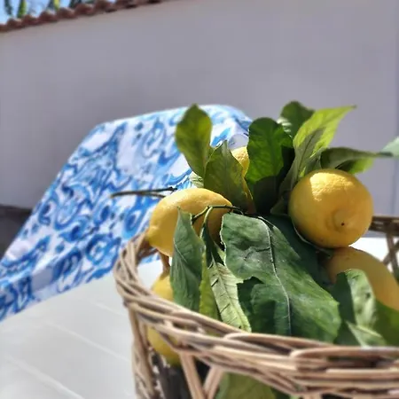 Appartement Casa Ivana